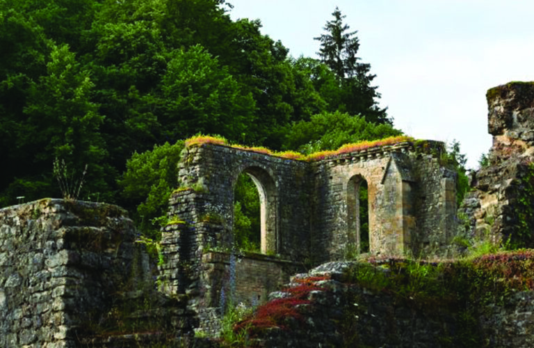 Ecoute, avec les arbres